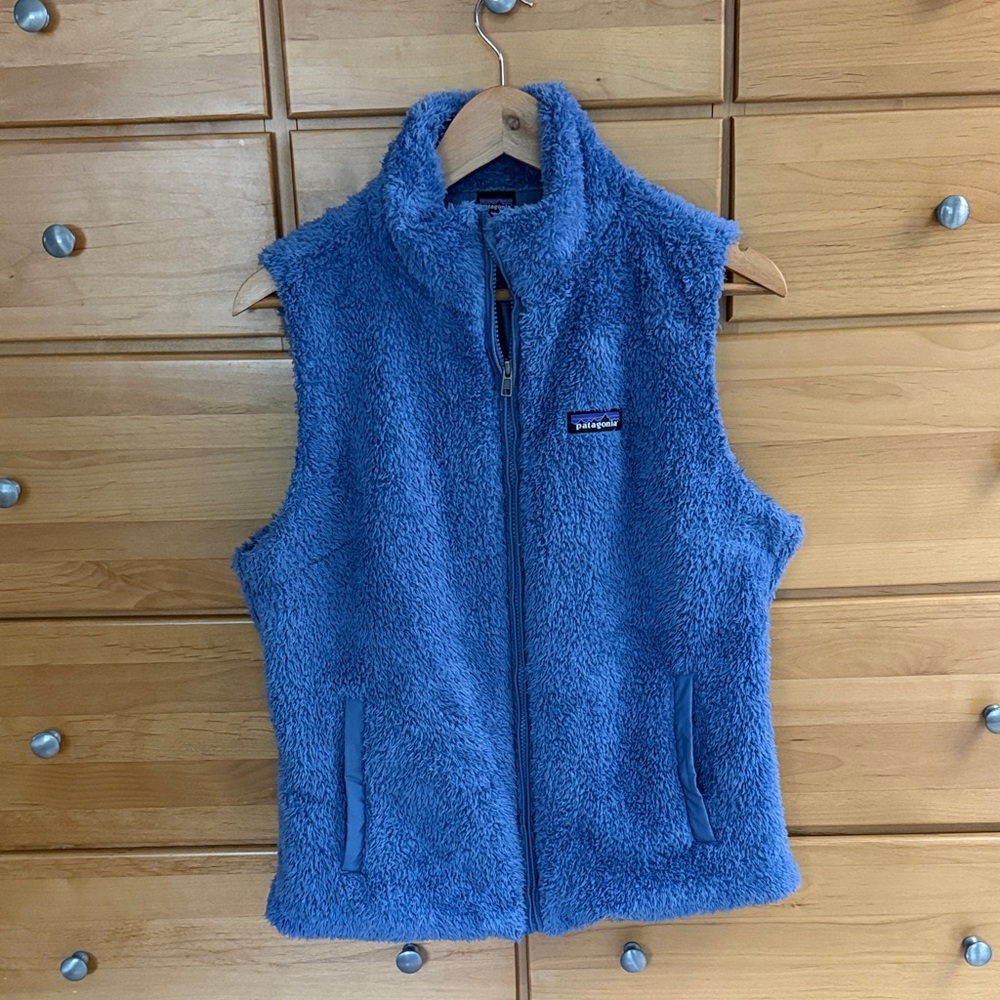Patagonia Fuzzy Blue Vest